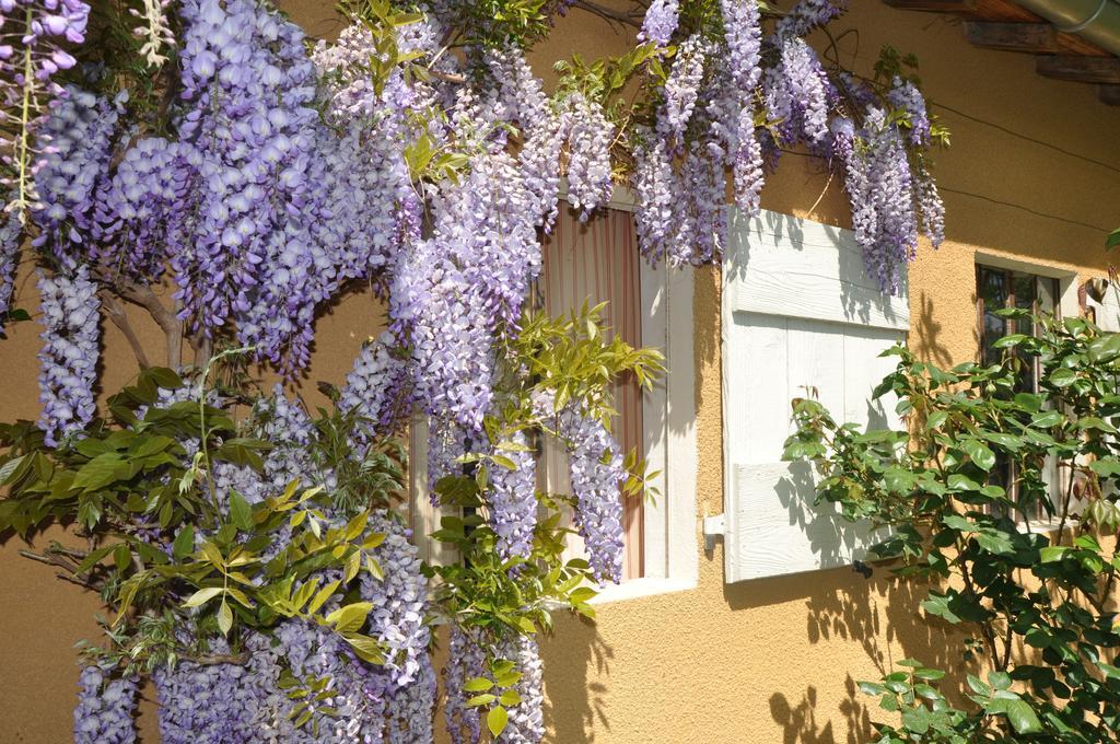B&B La Cerisaie Francheleins Exterior foto