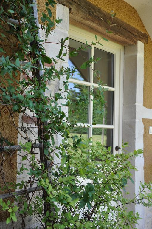 B&B La Cerisaie Francheleins Habitación foto